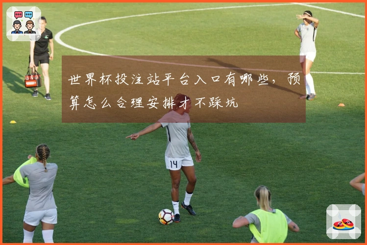 世界杯投注站平台入口有哪些，预算怎么合理安排才不踩坑