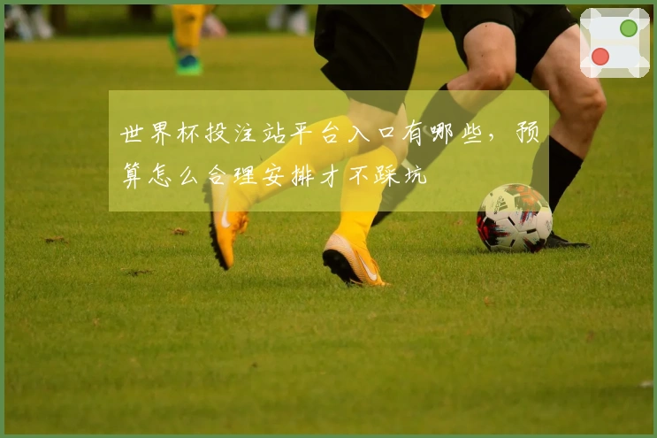 世界杯投注站平台入口有哪些，预算怎么合理安排才不踩坑