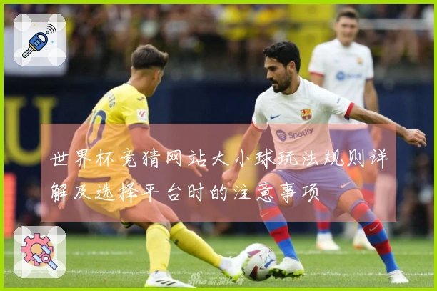 世界杯竞猜网站大小球玩法规则详解及选择平台时的注意事项